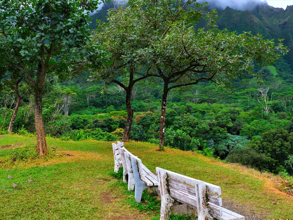 13-best-places-to-picnic-in-hawaii