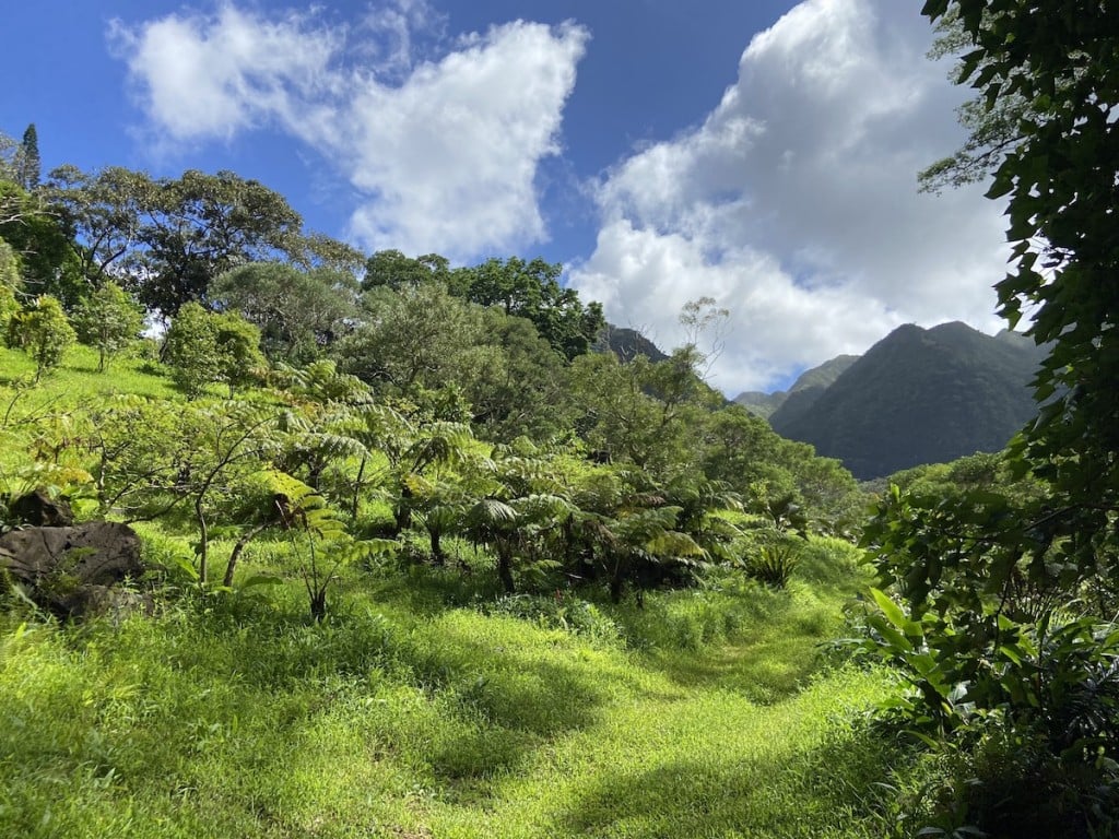 13-best-places-to-picnic-in-hawaii