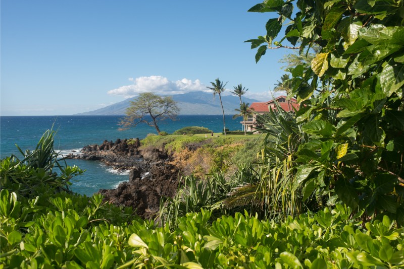 The Wailea-Makena Real Estate Market