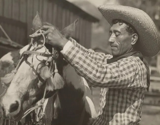 upcountry-maui-home-to-the-hawaiian-cowboys