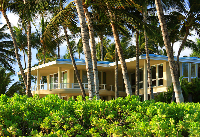 A house with a blue roof is surrounded by palm trees