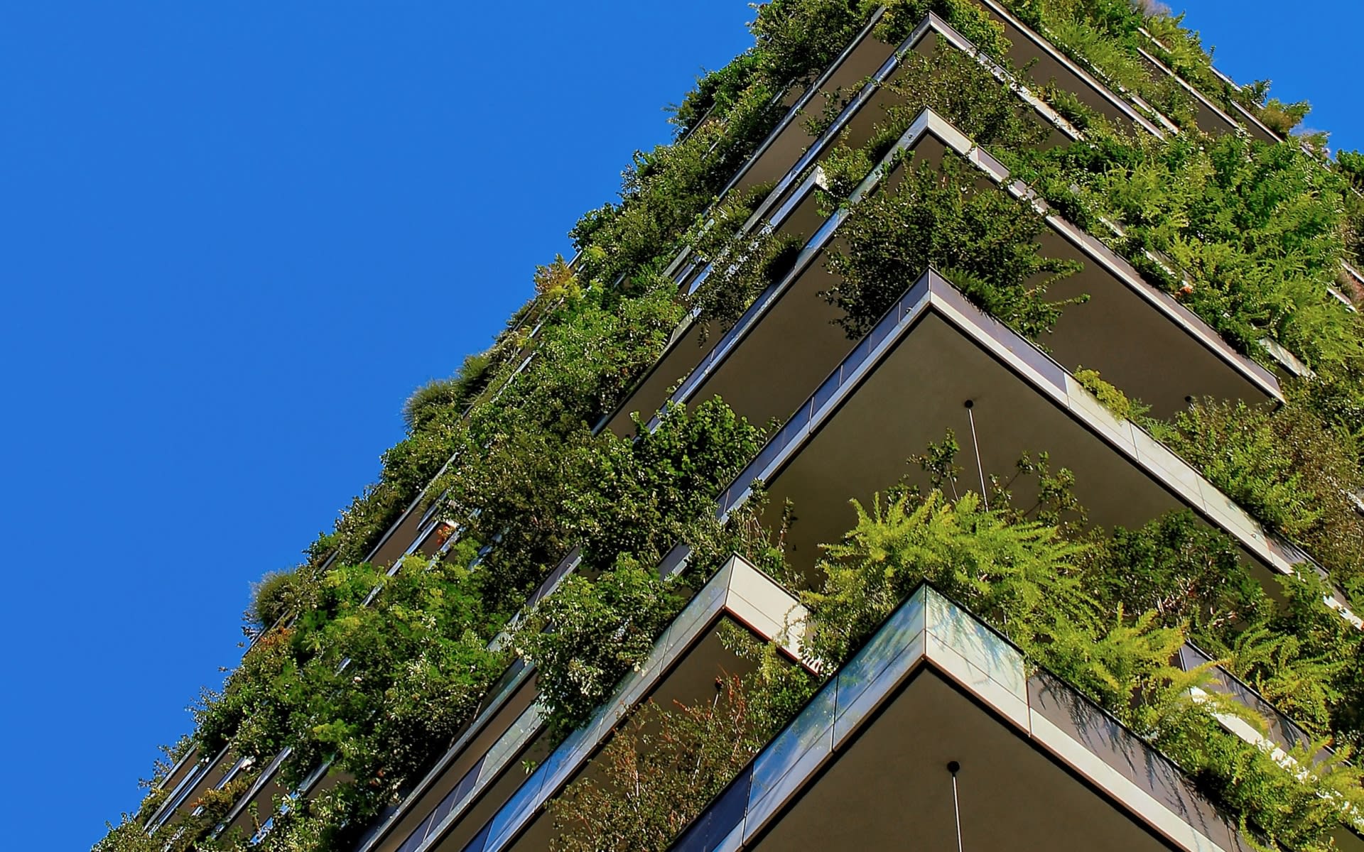 Building a Sustainable Future in Real Estate