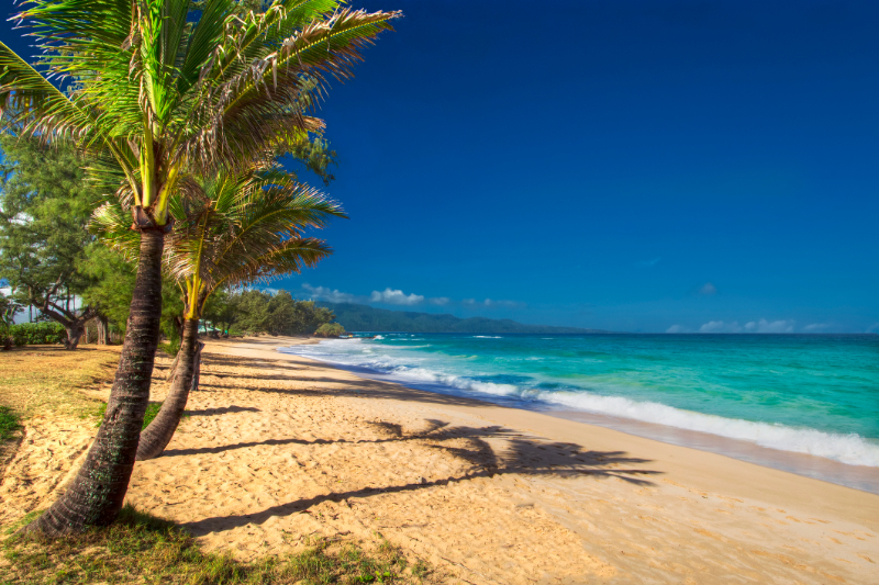 beach view