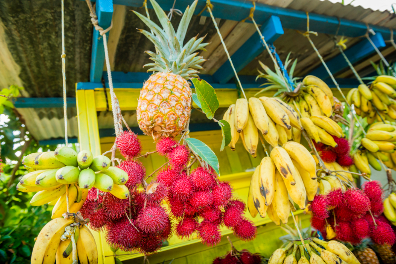 hanging fruits