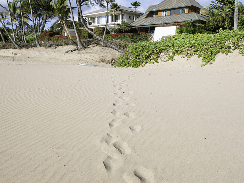 footstep on the whiter sand