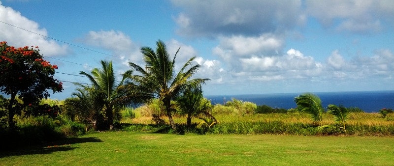 Haiku & Maui Panoramio