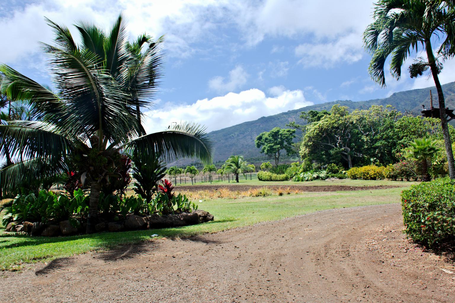 Buyer Due Diligence Checklist: What to Verify Before You Buy in Haiku, Maui Real Estate