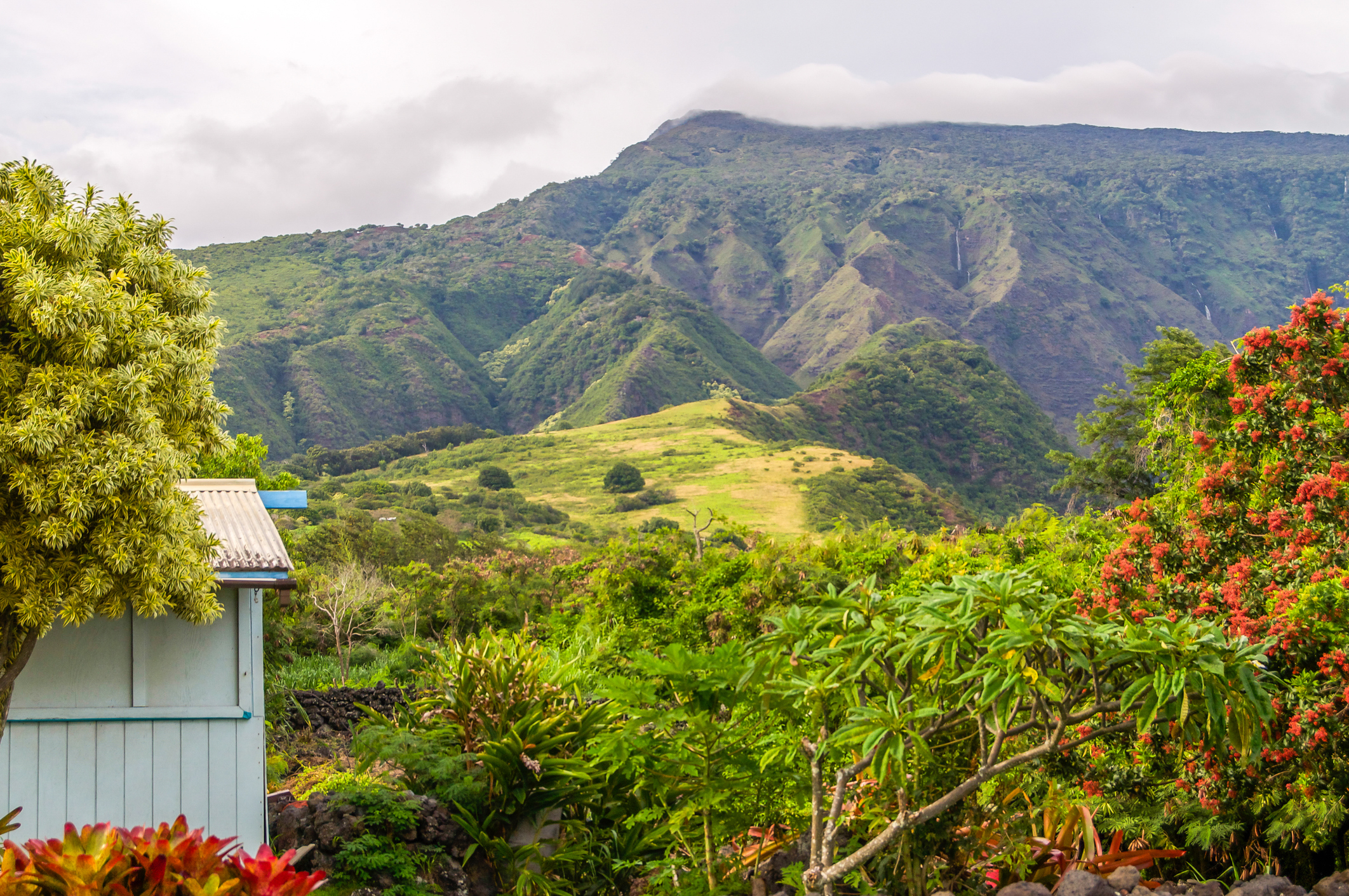 Paradise along side Haleakala Volcano and its tropical rainforest scene on the Island of Maui in Hawaii.