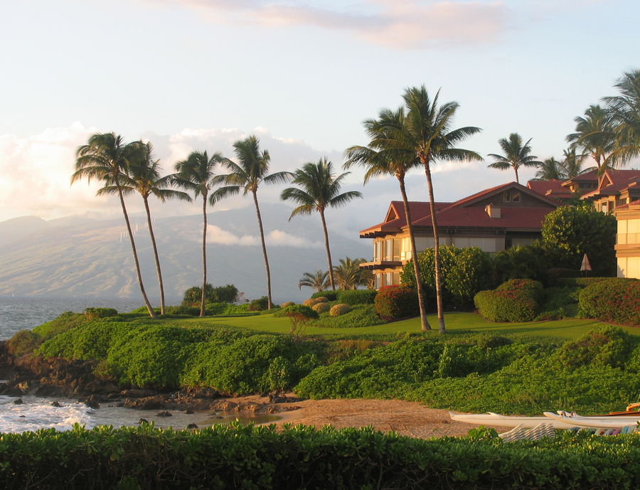 Palm trees line the coast of a Hawaiian vacation resort by a beach on the island Maui.